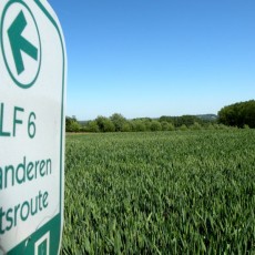 LF 6 Vlaanderen Fietsroute